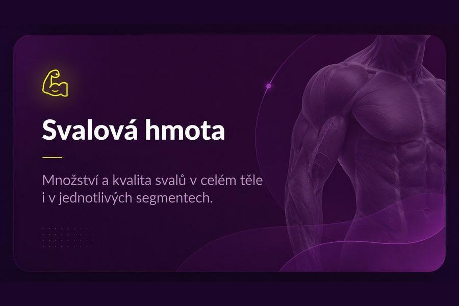 Svalová hmota – množství a kvalita svalů v celém těle i v jednotlivých segmentech